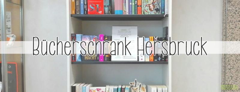 Bücherschrank-Seitenbild