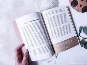 Das 6-Minuten Tagebuch Ansicht Einleitung Inhalt
