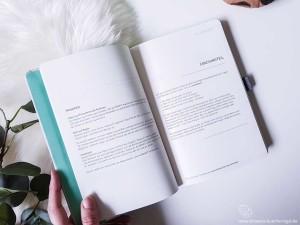 Klarheit Buch Coaching Teil Einleitung mit Stiftlasche